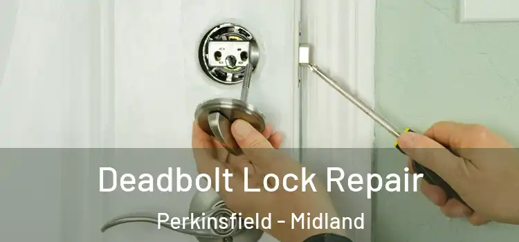 Deadbolt Lock Repair Perkinsfield - Midland