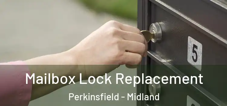 Mailbox Lock Replacement Perkinsfield - Midland