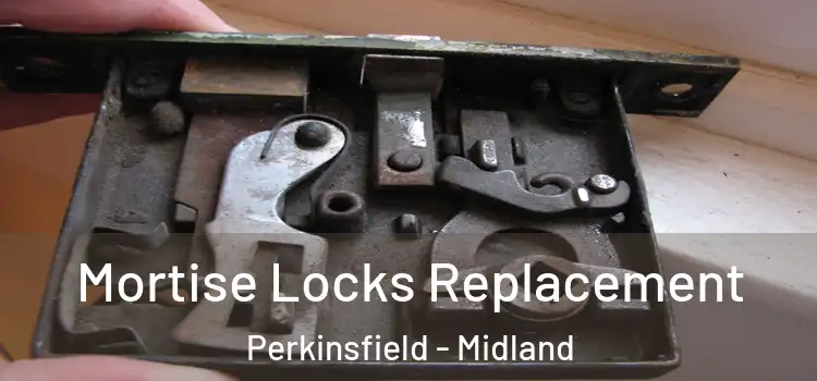Mortise Locks Replacement Perkinsfield - Midland