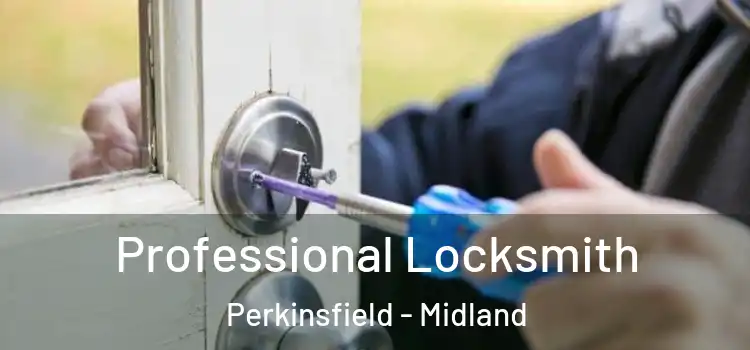 Professional Locksmith Perkinsfield - Midland