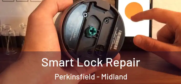 Smart Lock Repair Perkinsfield - Midland
